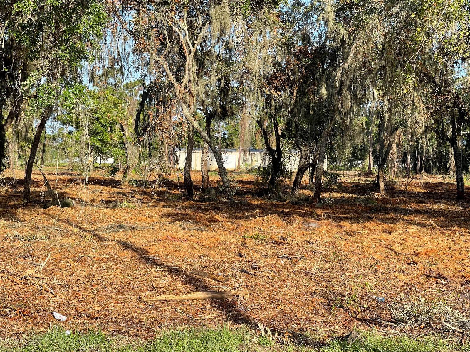 Image 9 of 49 For 3524 Hickory Tree Road