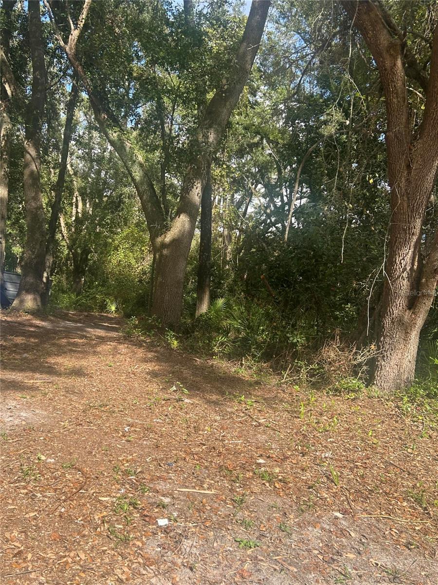 Image 8 of 10 For 14215 97th Road