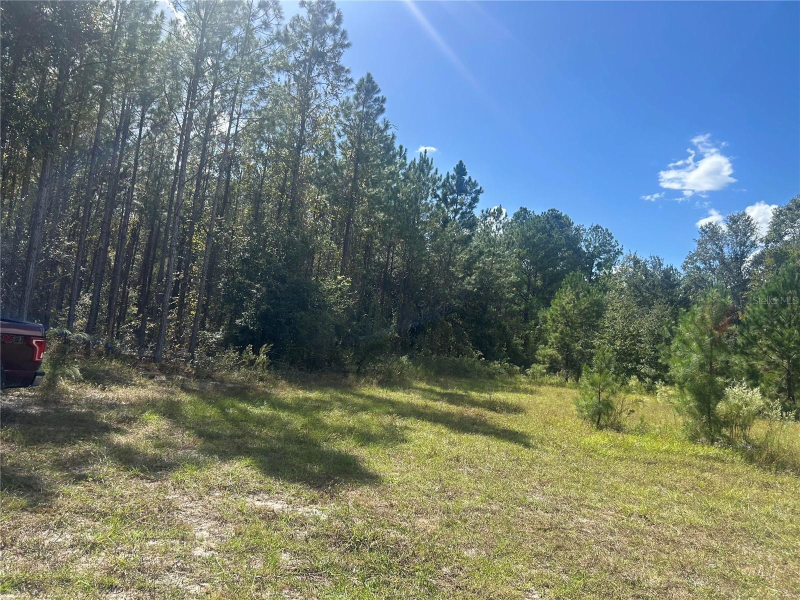 Image 9 of 10 For 14215 97th Road