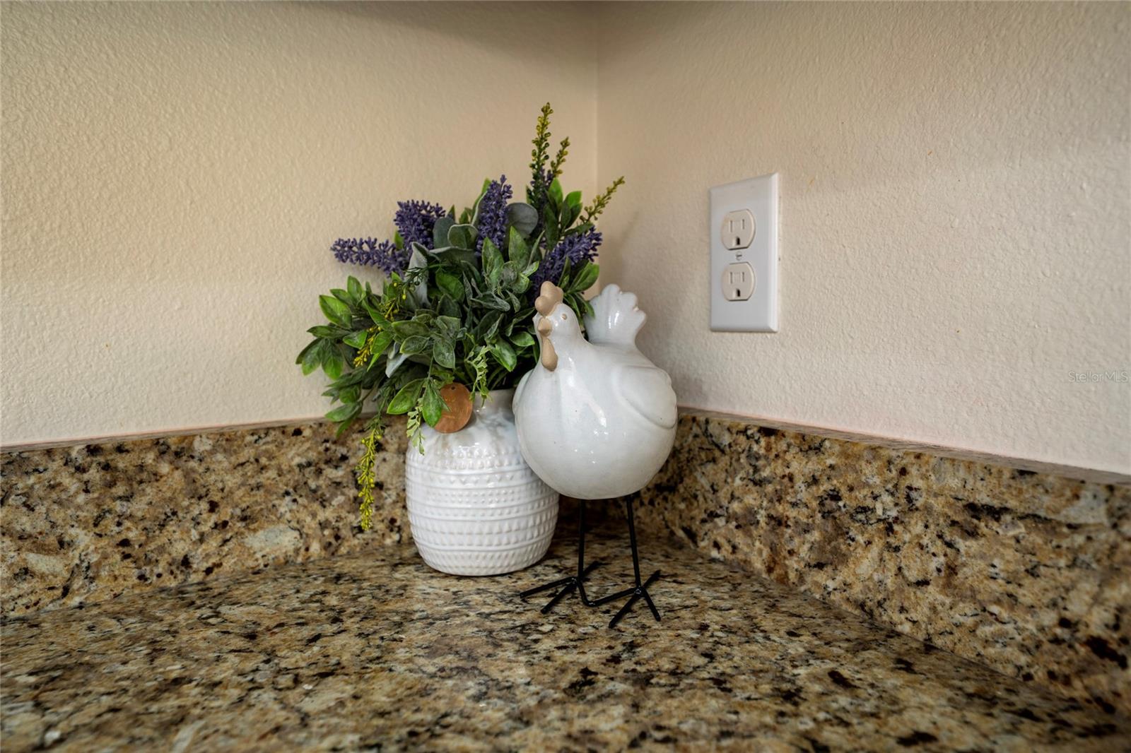 Image 9 of 35 For 1601 Bonnie Rue Lane