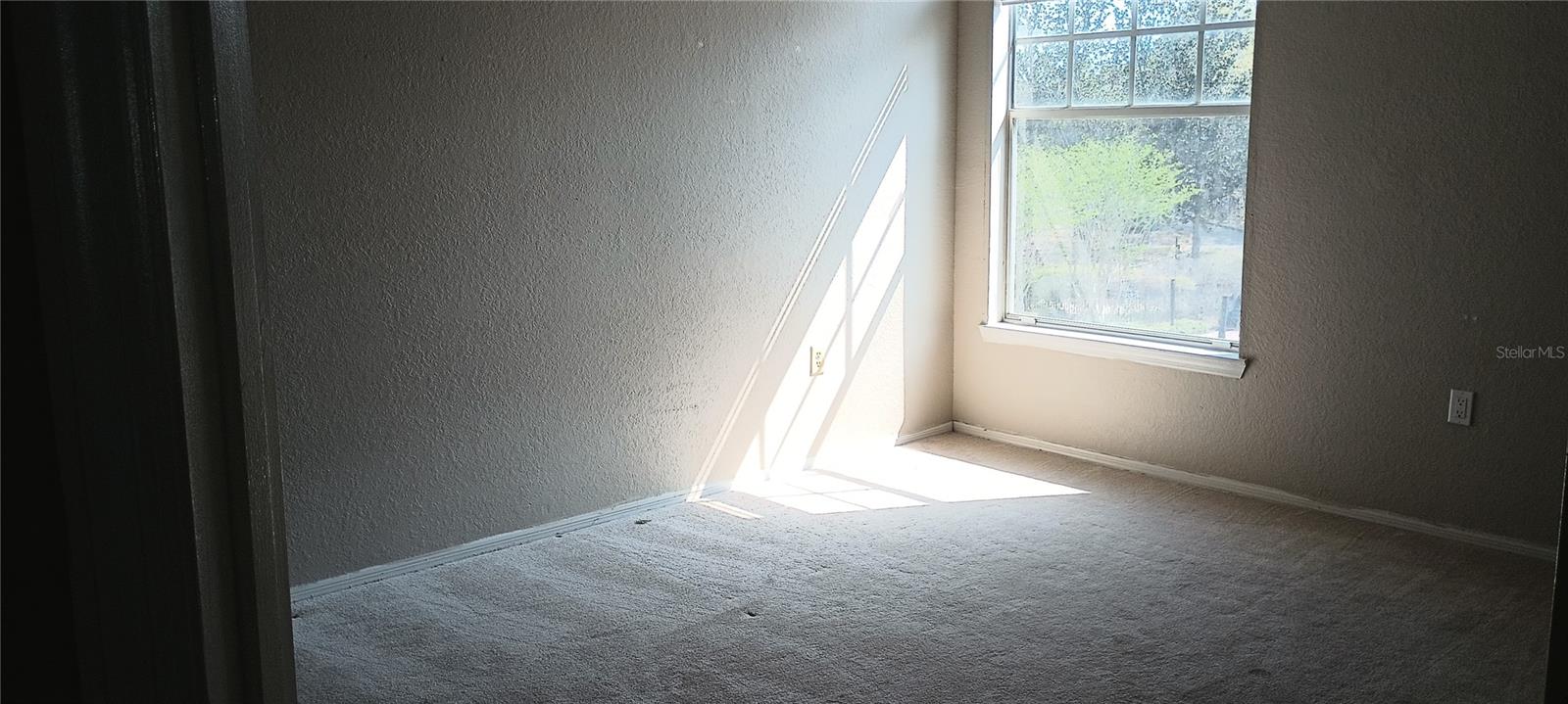 Image 6 of 11 For 1325 Rotonda Point 317