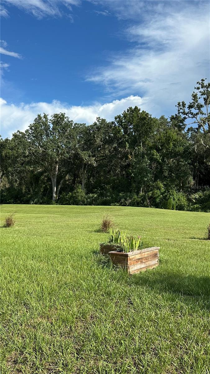 Image 12 of 13 For 20041 Royal Tern Court