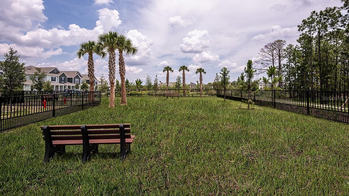 Image 42 of 43 For 14736 Field Daisy Drive