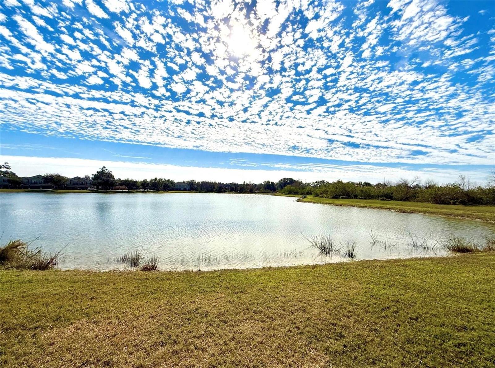 Image 23 of 30 For 1604 Scarlet Oak Loop 63b