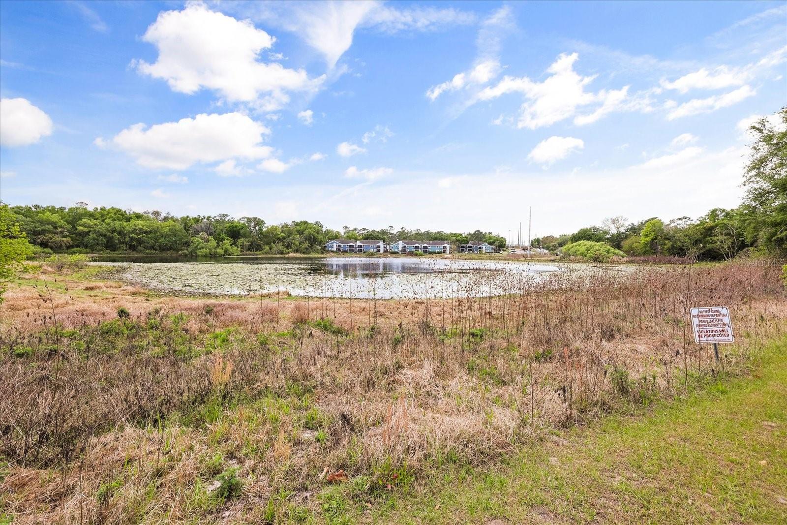 Image 42 of 47 For 3229 Autumnwood Trail