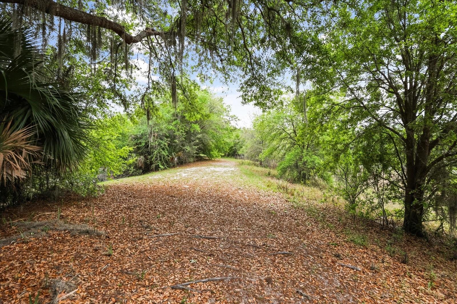 Image 43 of 47 For 3229 Autumnwood Trail