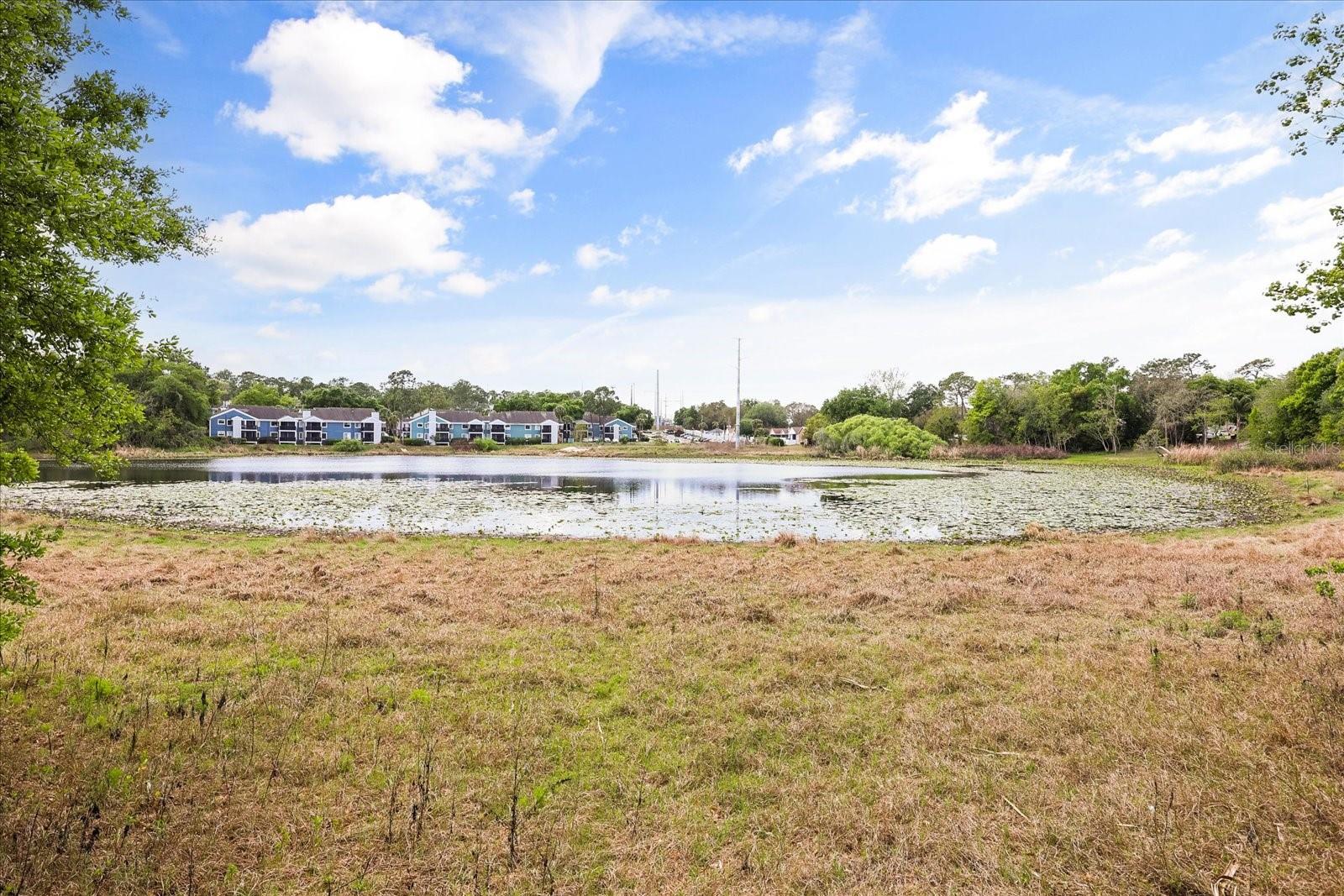 Image 44 of 47 For 3229 Autumnwood Trail