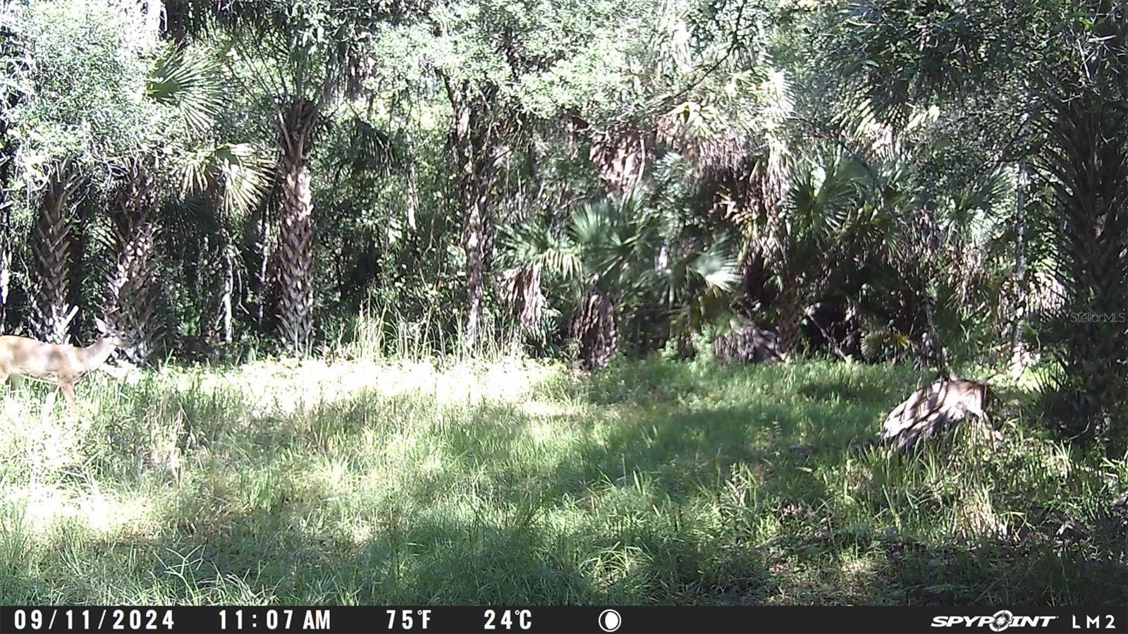 Image 10 of 12 For Harrison Road