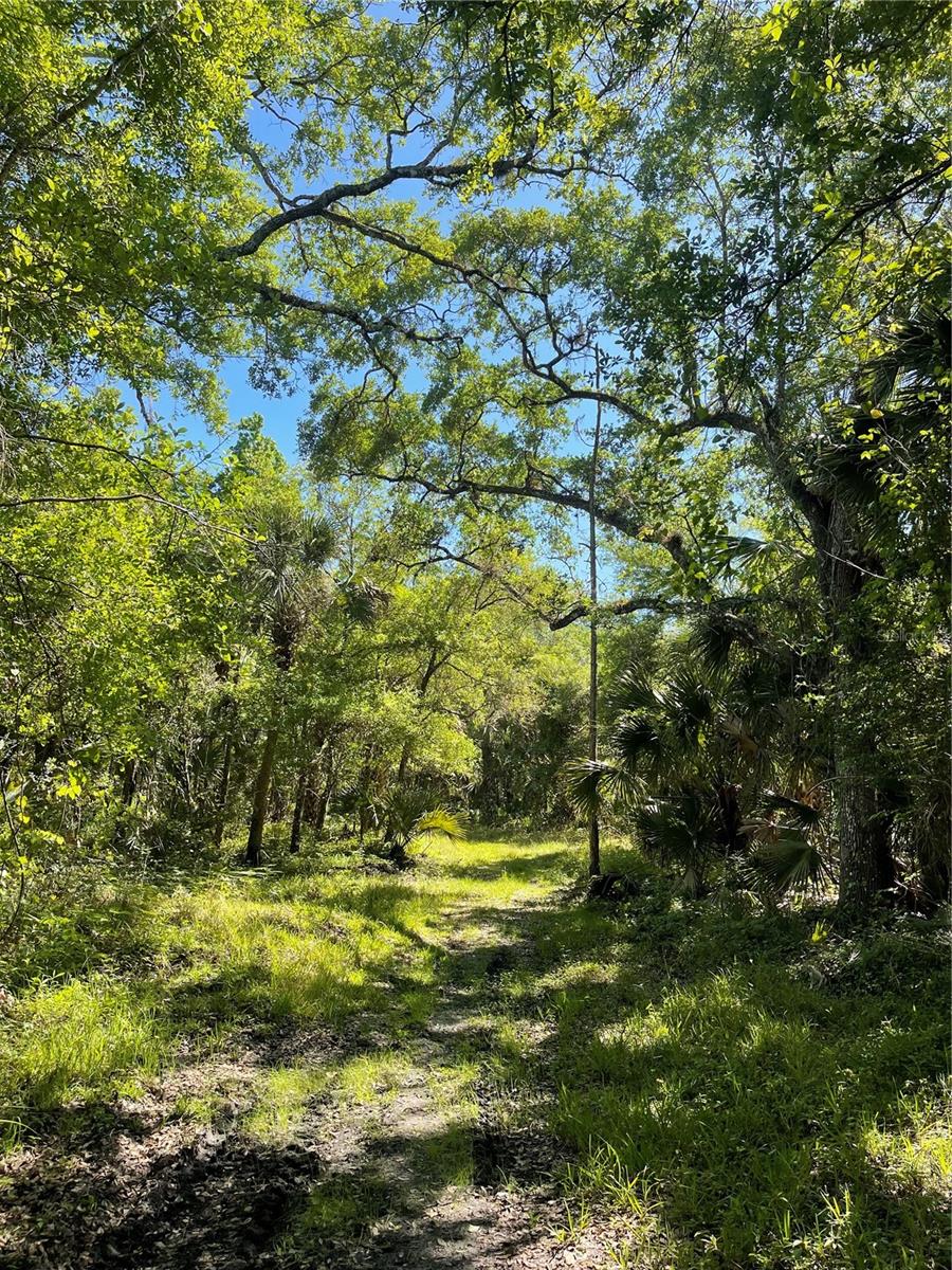 Image 2 of 12 For Harrison Road