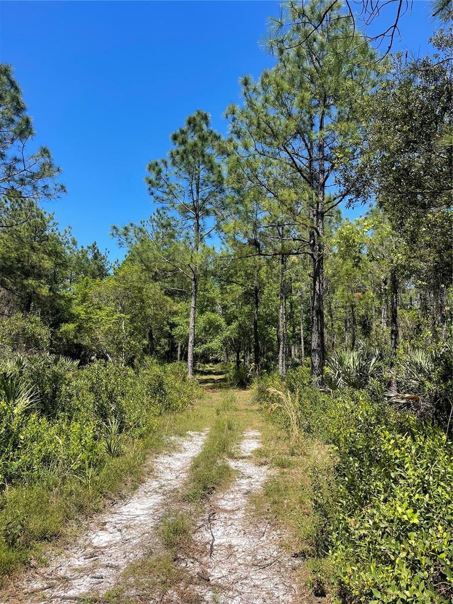 Image 3 of 12 For Harrison Road