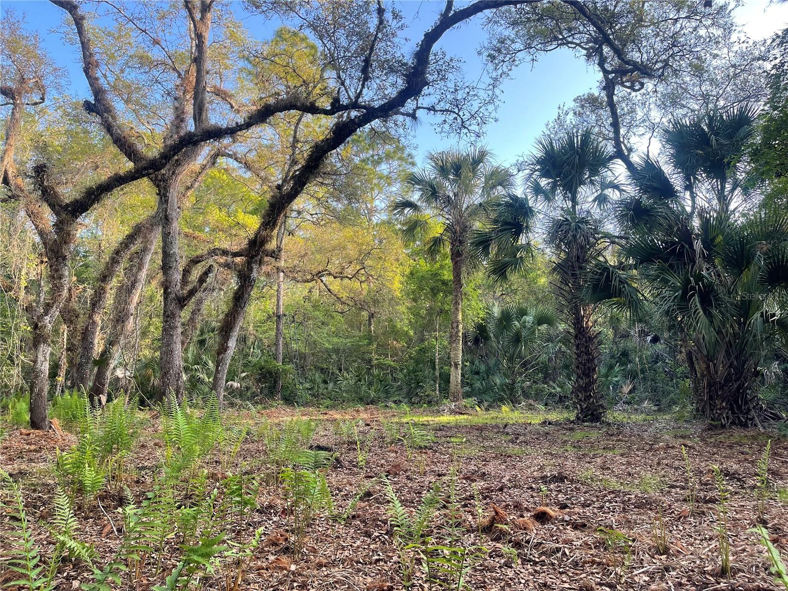 Image 4 of 12 For Harrison Road