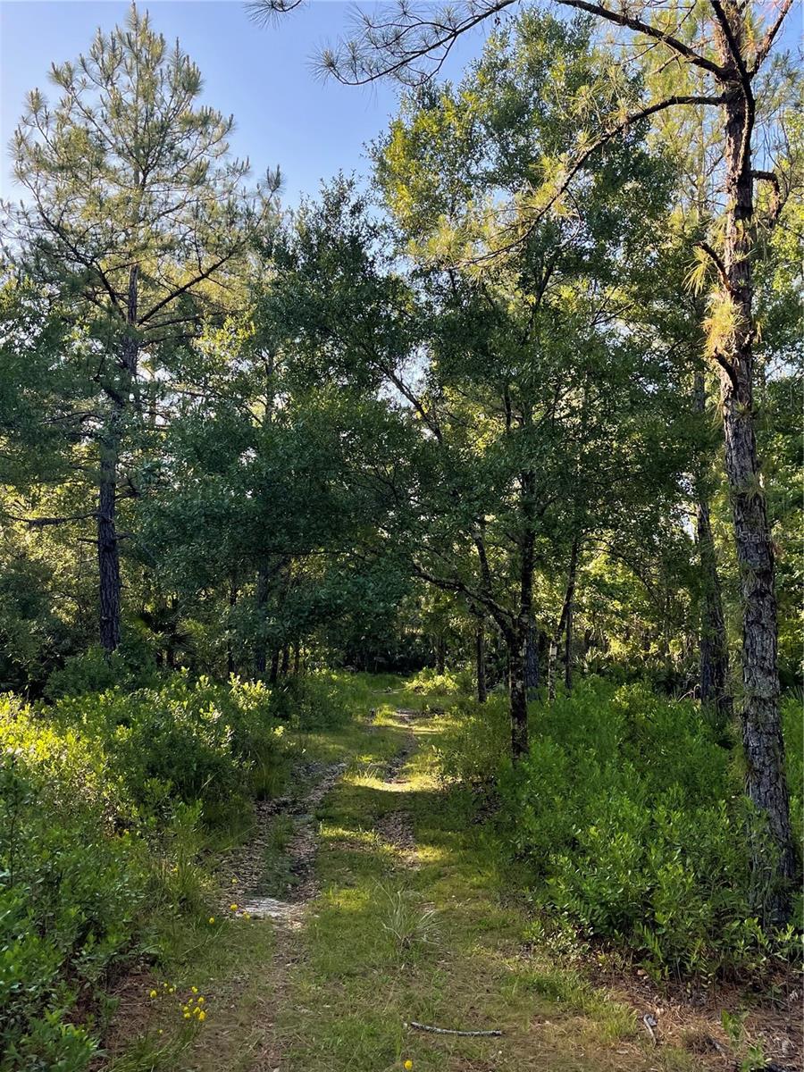 Image 5 of 12 For Harrison Road