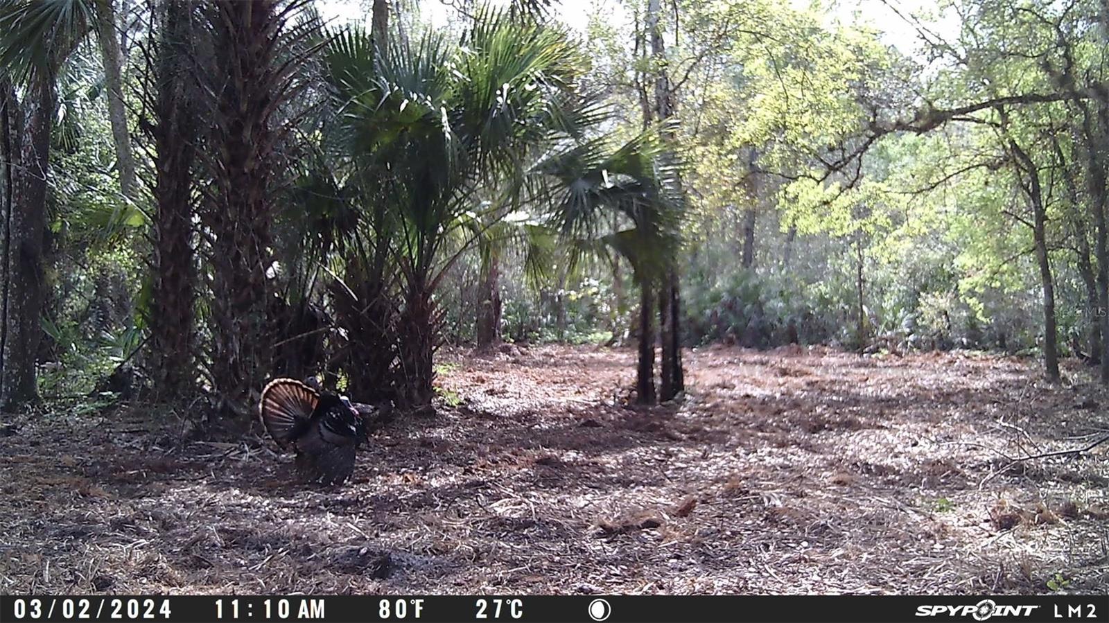 Image 7 of 12 For Harrison Road