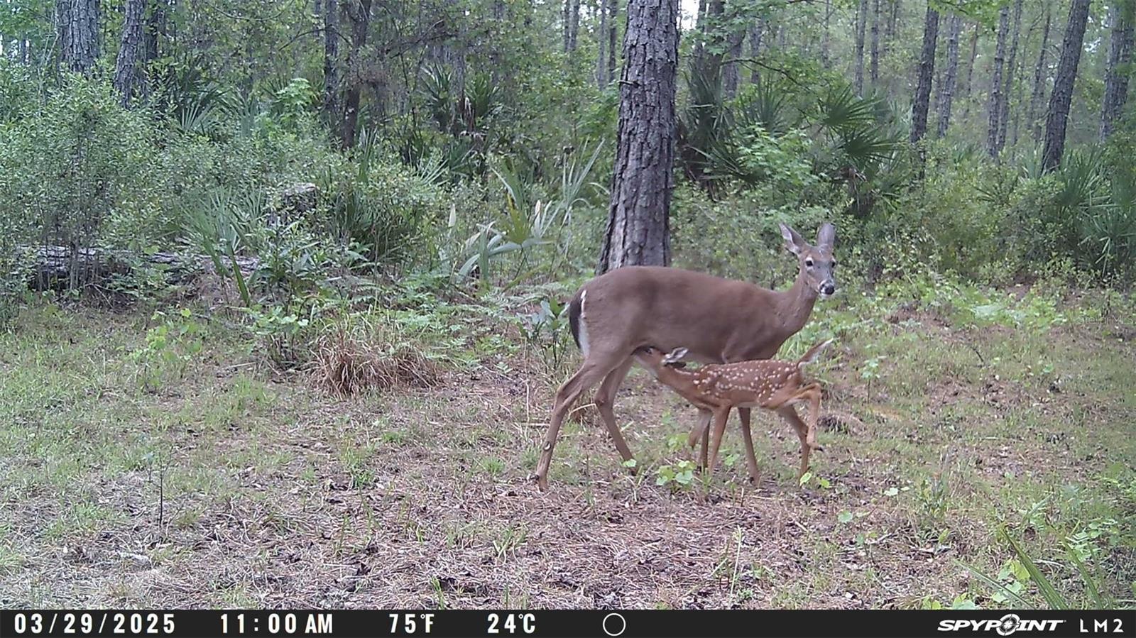 Image 8 of 12 For Harrison Road
