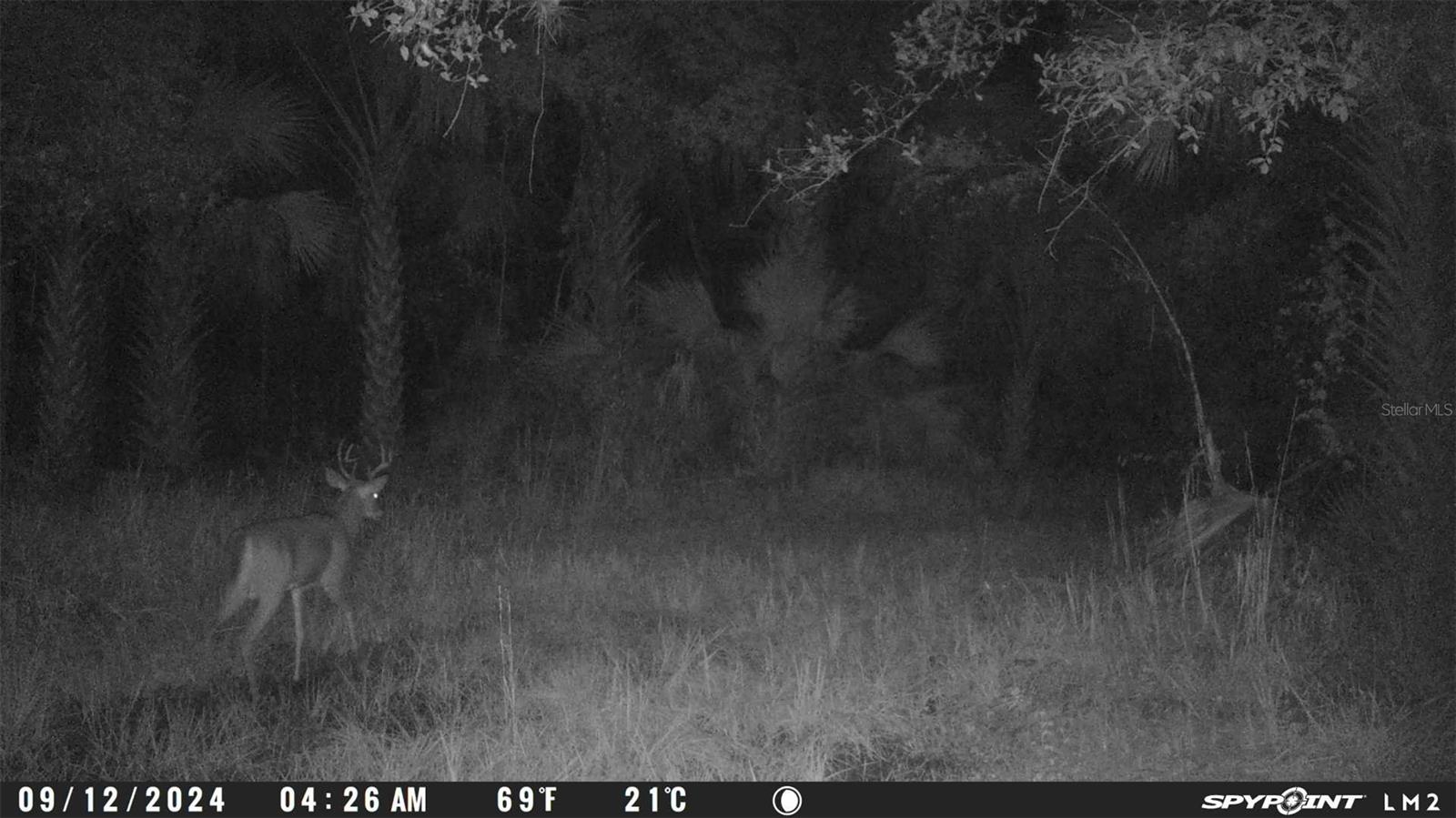 Image 9 of 12 For Harrison Road