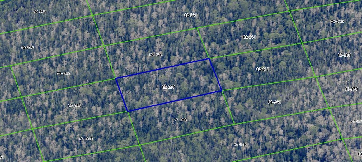 Image 5 of 10 For 2220 Dill Road