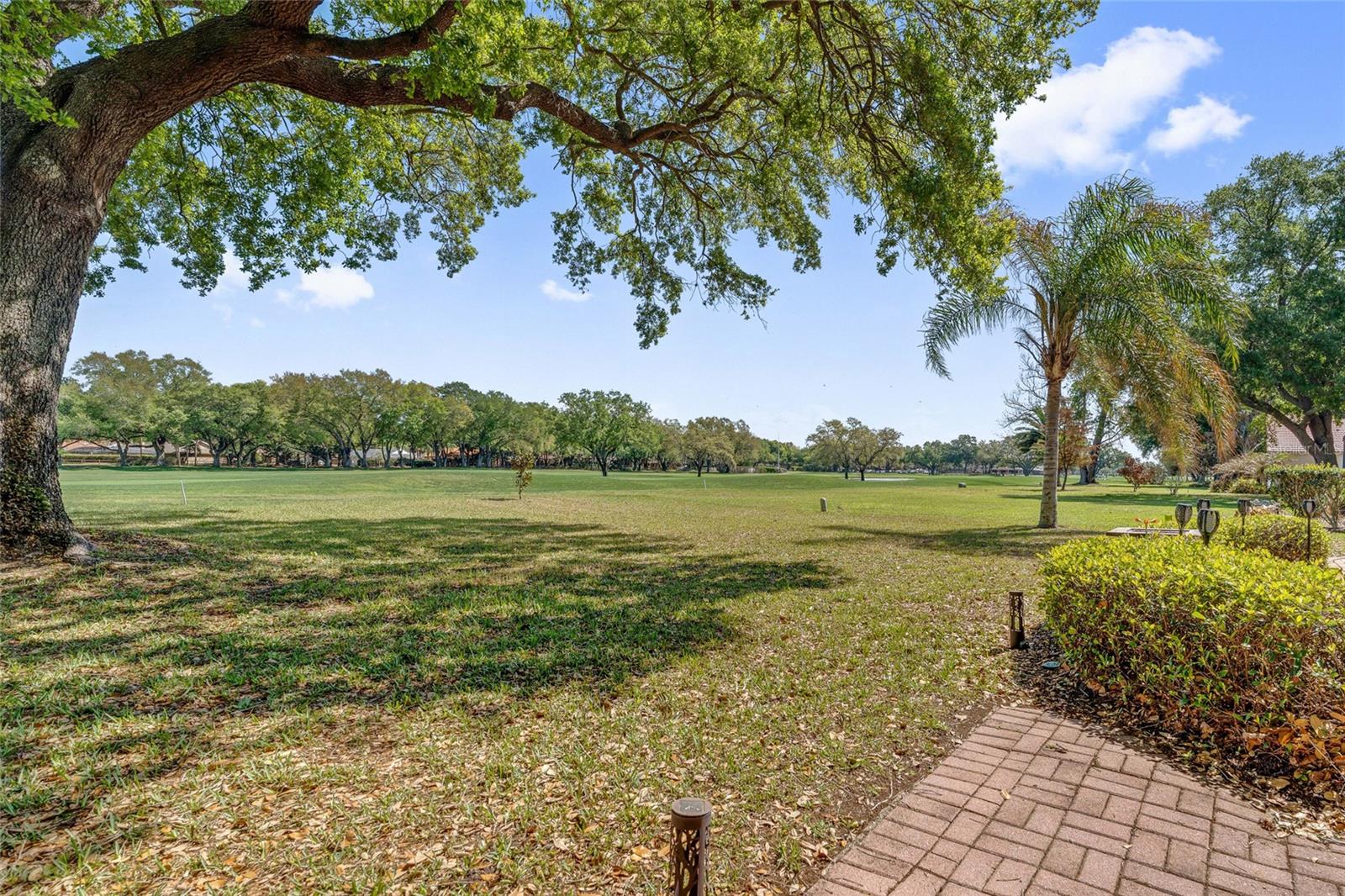 Image 23 of 31 For 6349 Parson Brown Drive