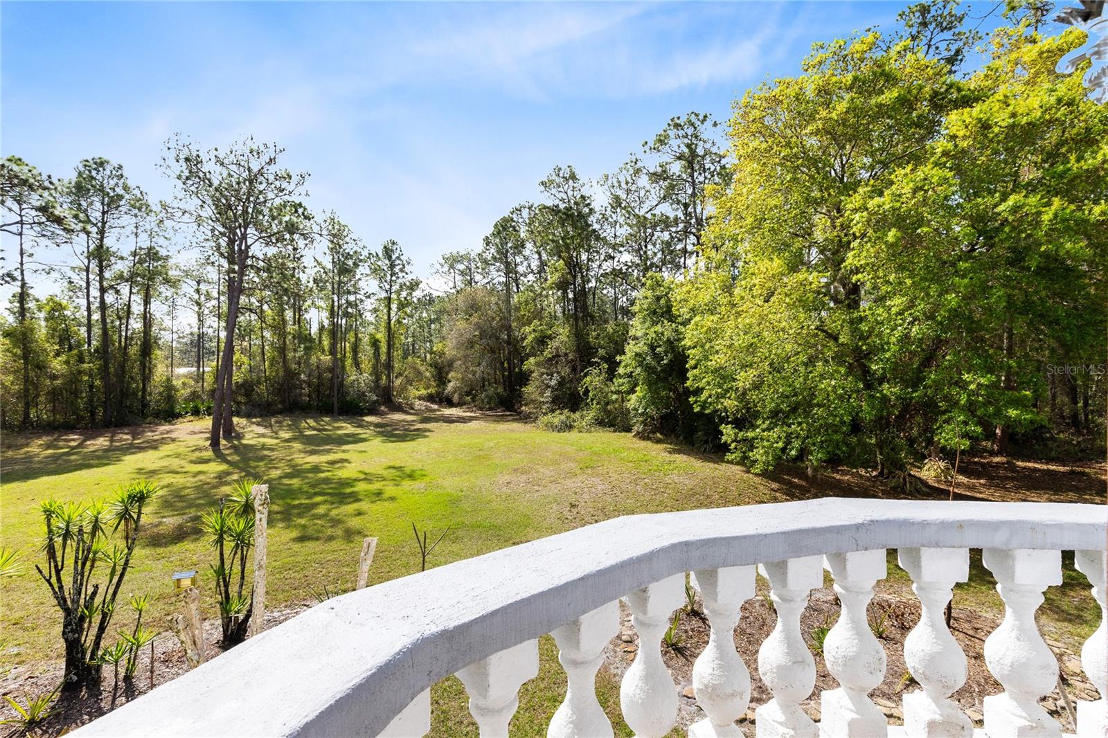 Image 34 of 64 For 14502 Scotch Pine Court