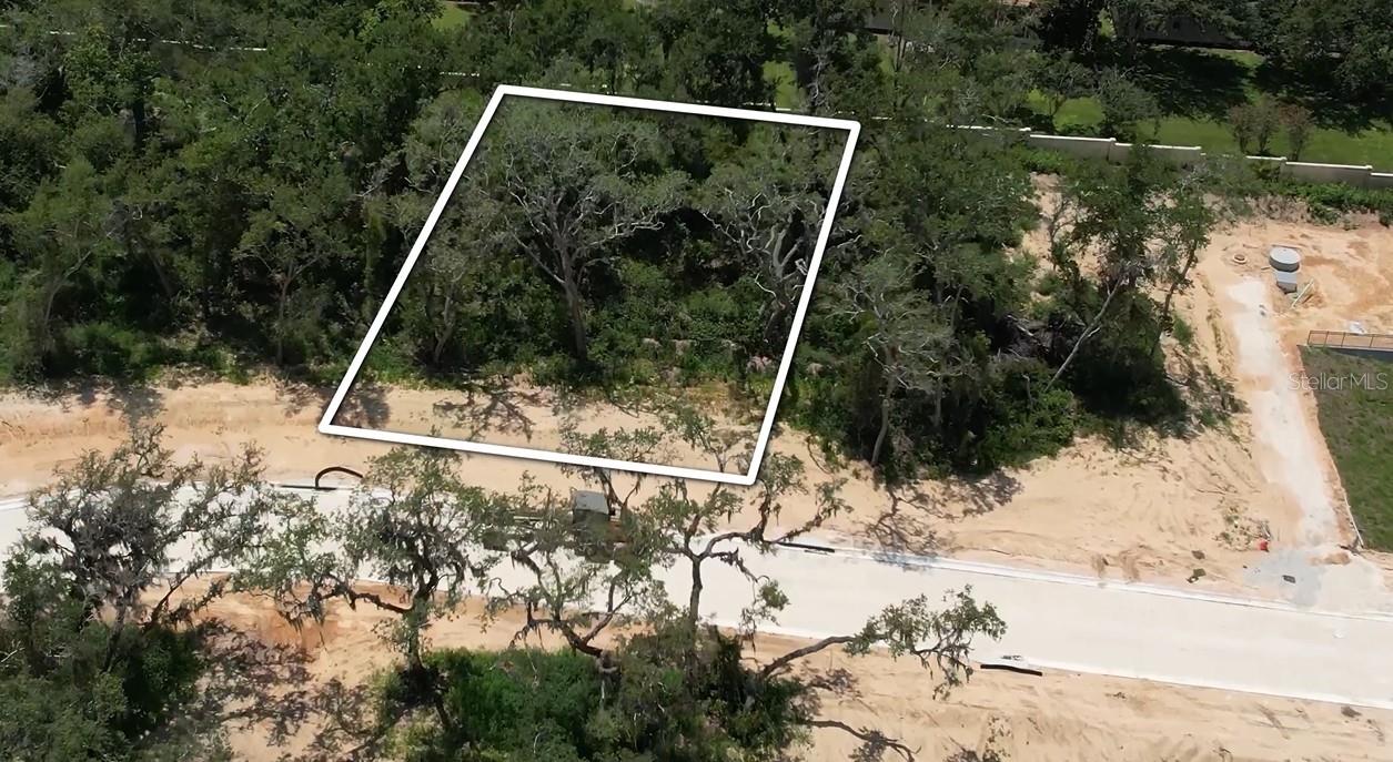 Image 6 of 27 For 146 Tranquil Mirror Lake Court Lot 19