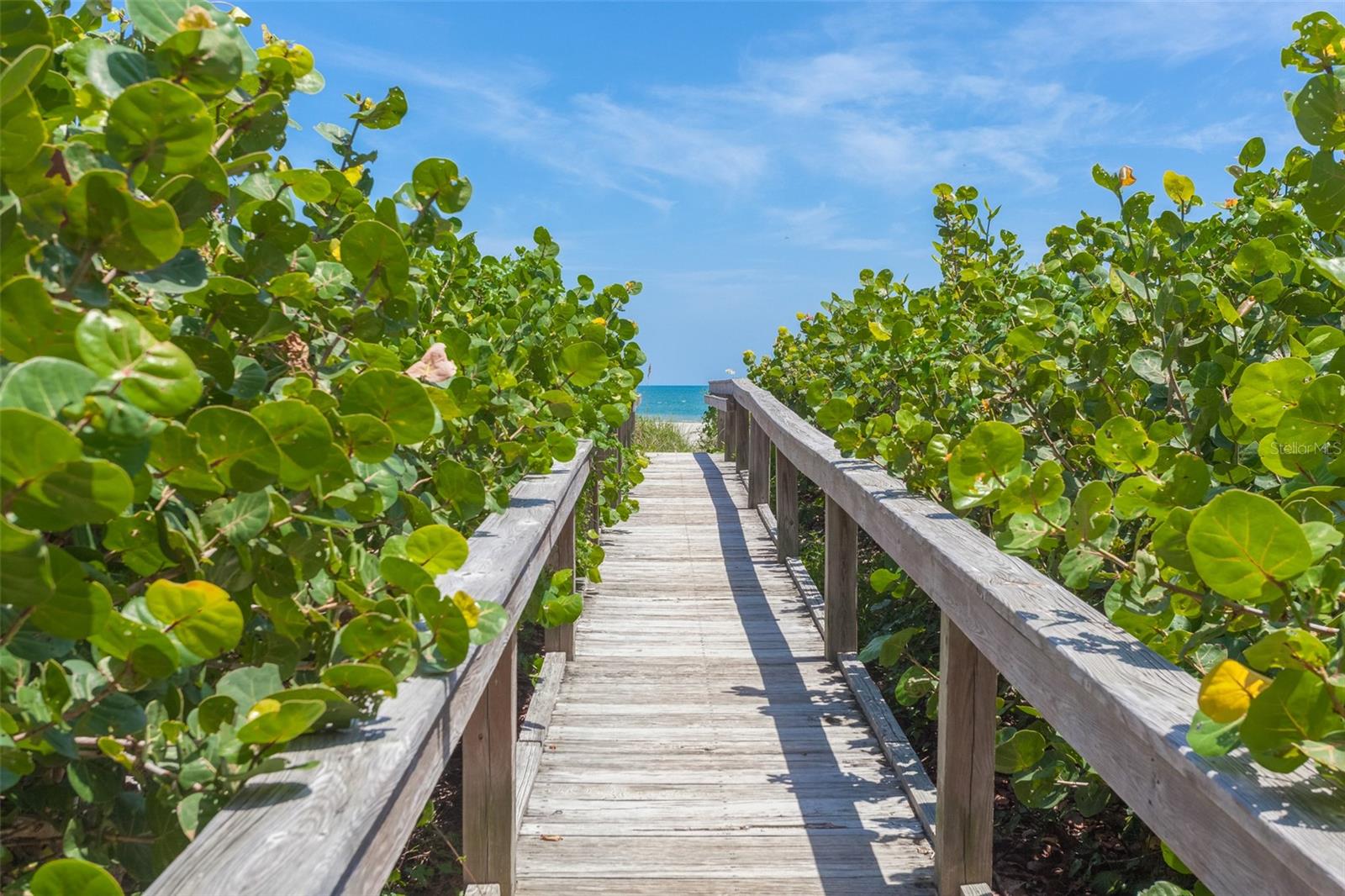 Image 14 of 46 For 8472 Ridgewood Avenue 201