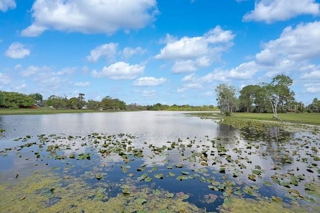 Image 3 of 64 For 570 Triplet Lake Drive