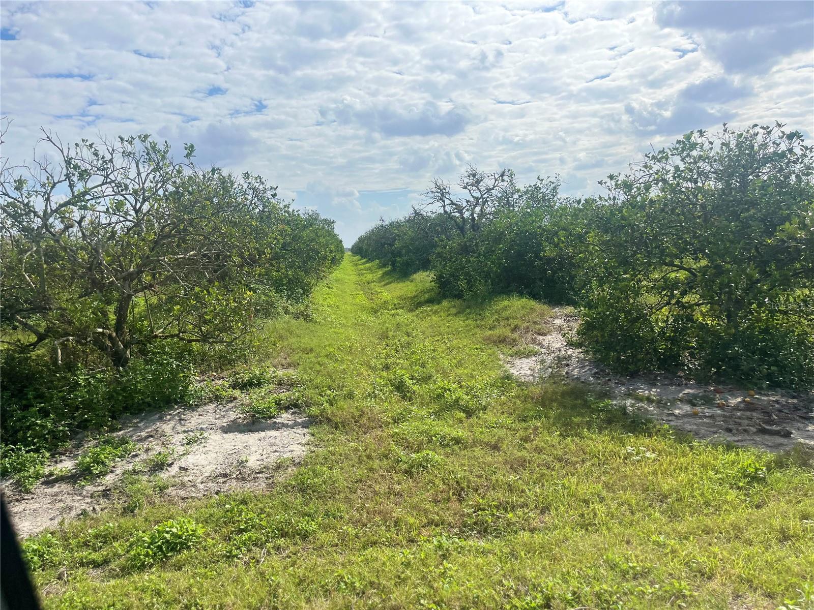 Details for  Ne Hwy 70  , ARCADIA, FL 34266