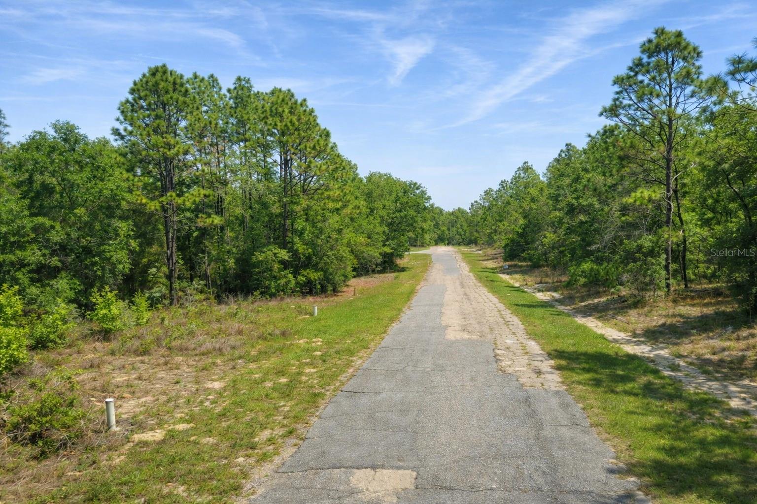 Image 3 of 9 For 11328 Cathy Terrace