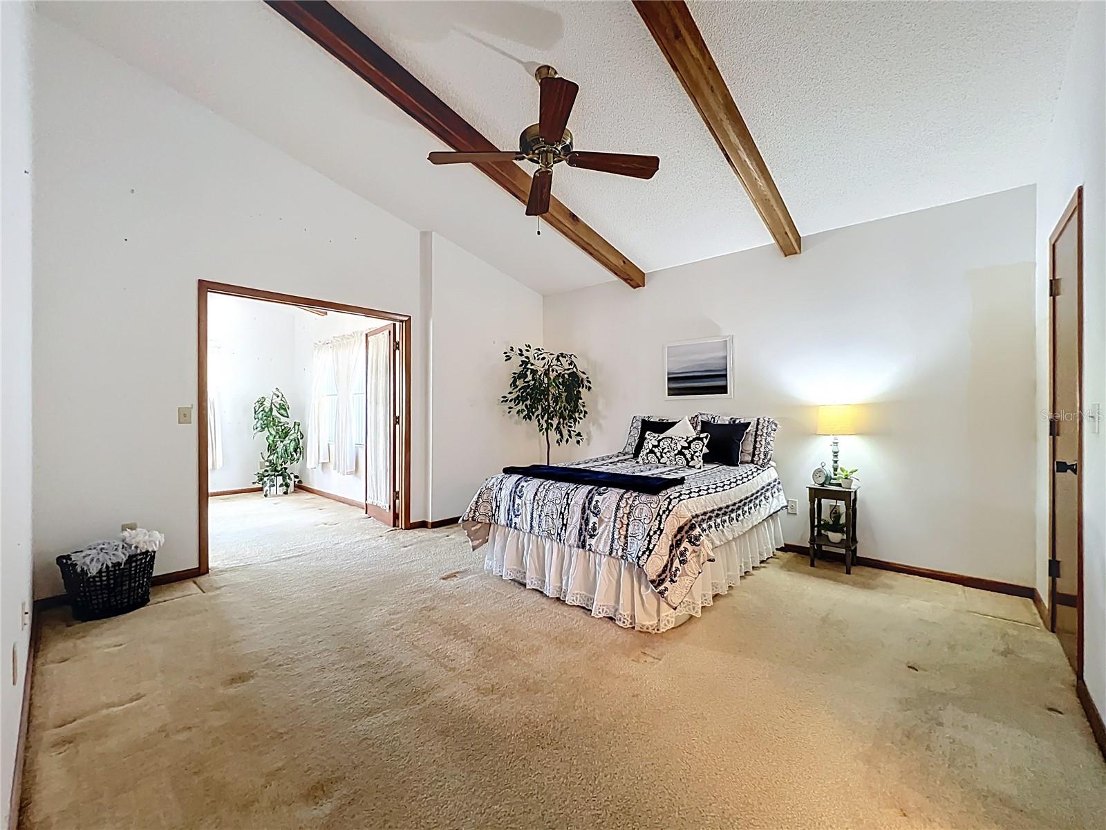 Image 20 of 45 For 717 Adidas Road