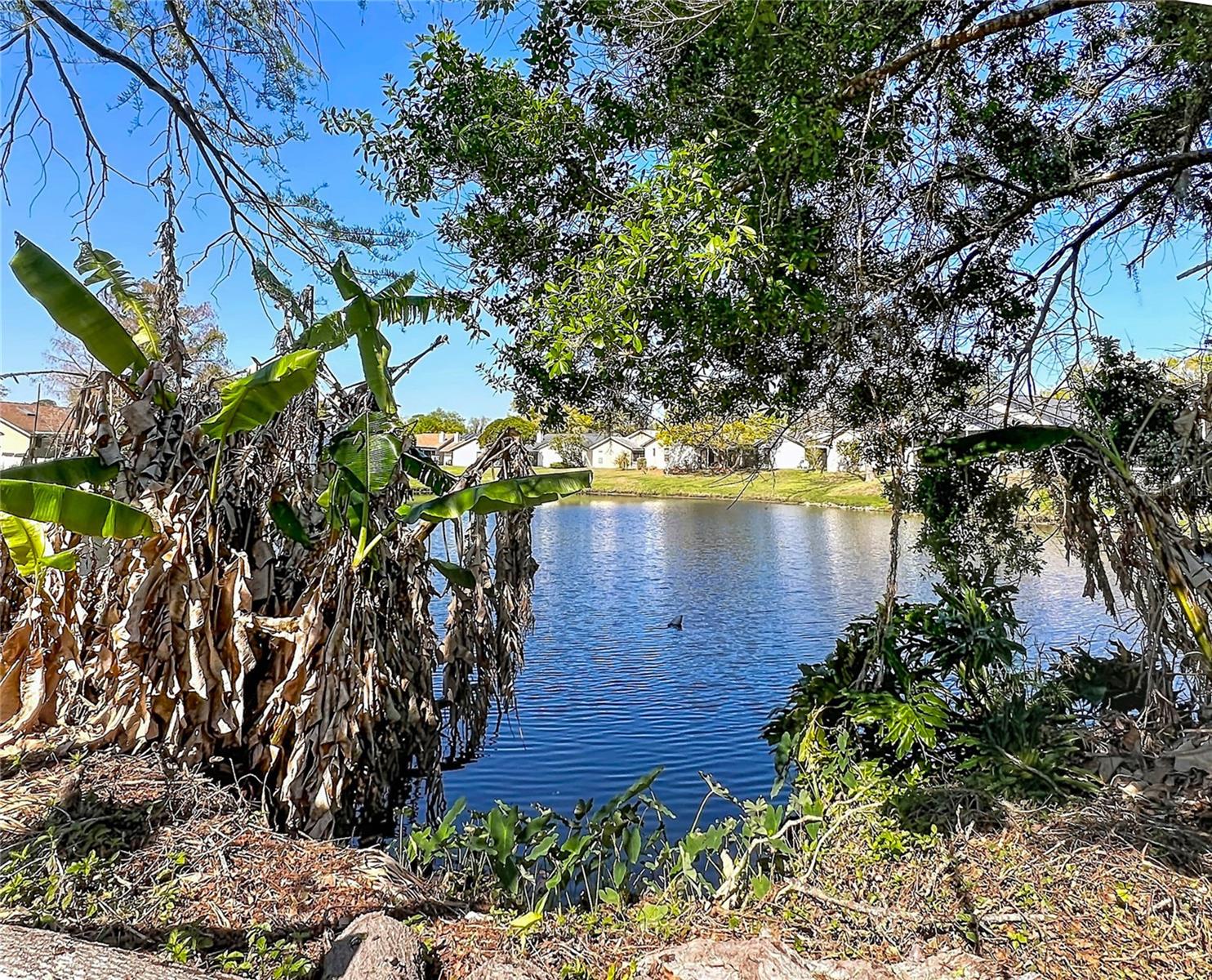 Image 37 of 45 For 717 Adidas Road