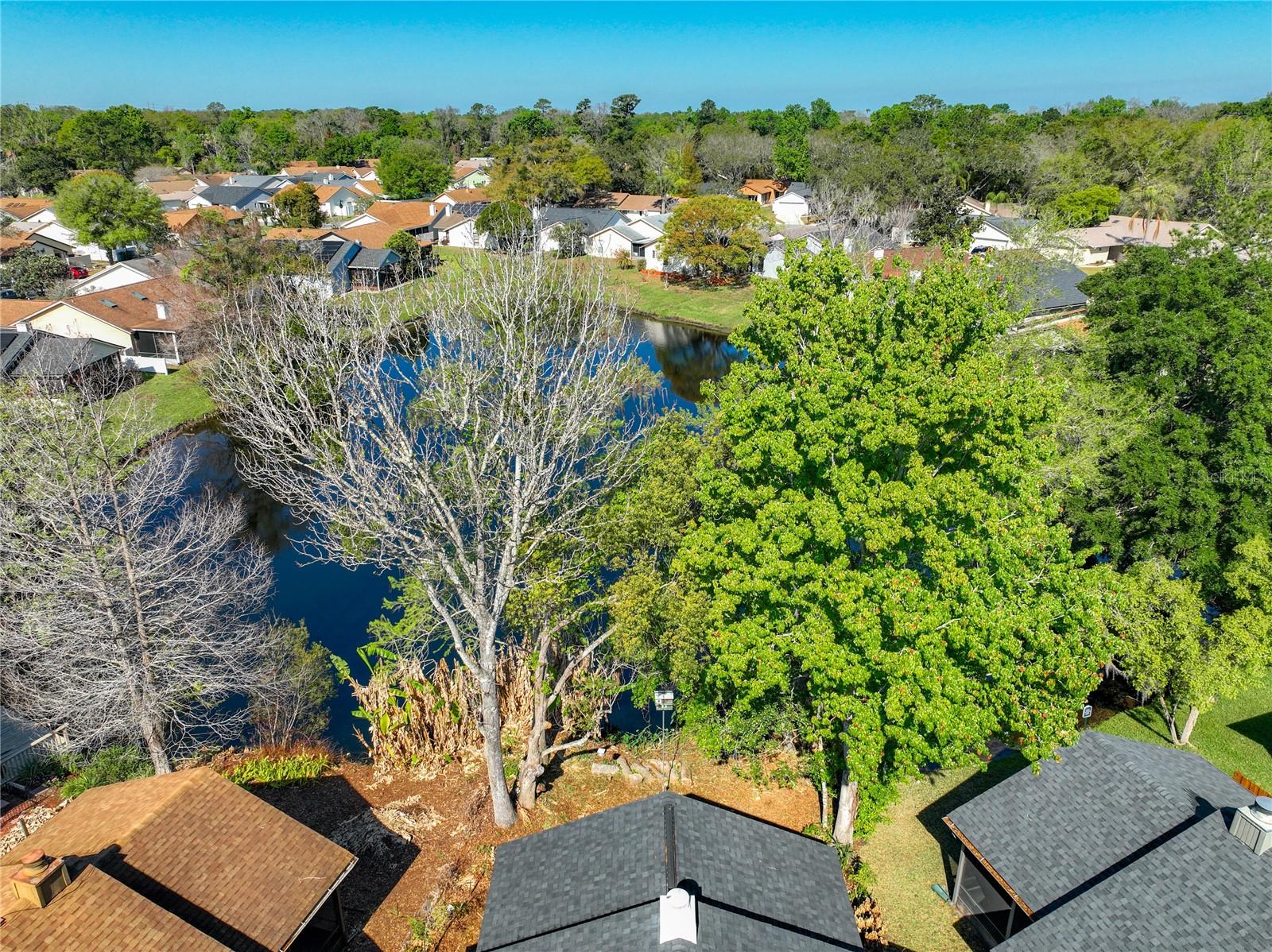 Image 40 of 45 For 717 Adidas Road