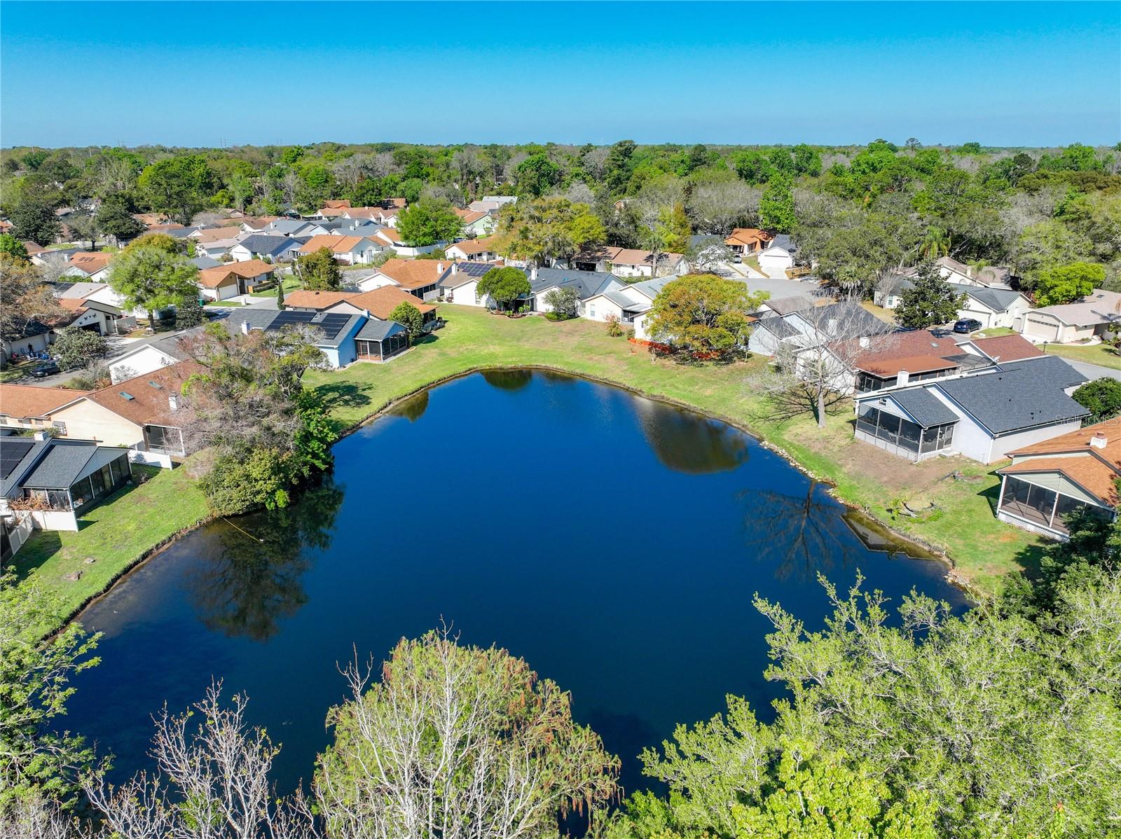 Image 41 of 45 For 717 Adidas Road