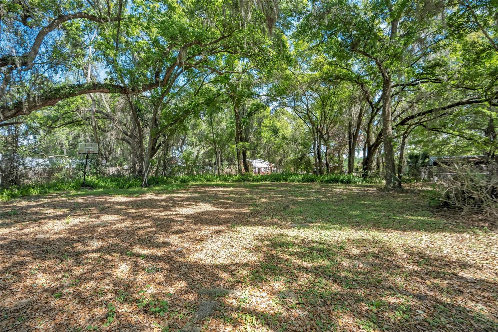 Image 11 of 23 For 1705 Evergreen Street