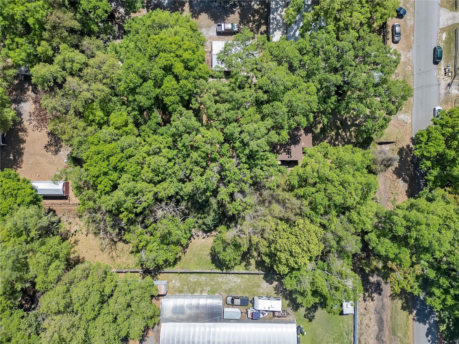 Image 21 of 23 For 1705 Evergreen Street