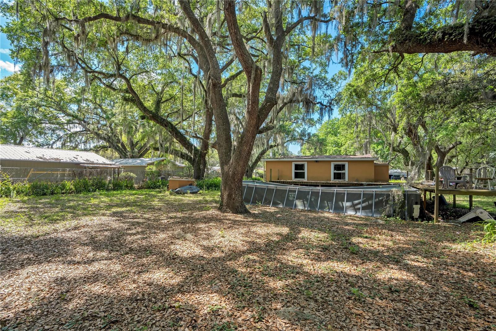 Image 6 of 23 For 1705 Evergreen Street