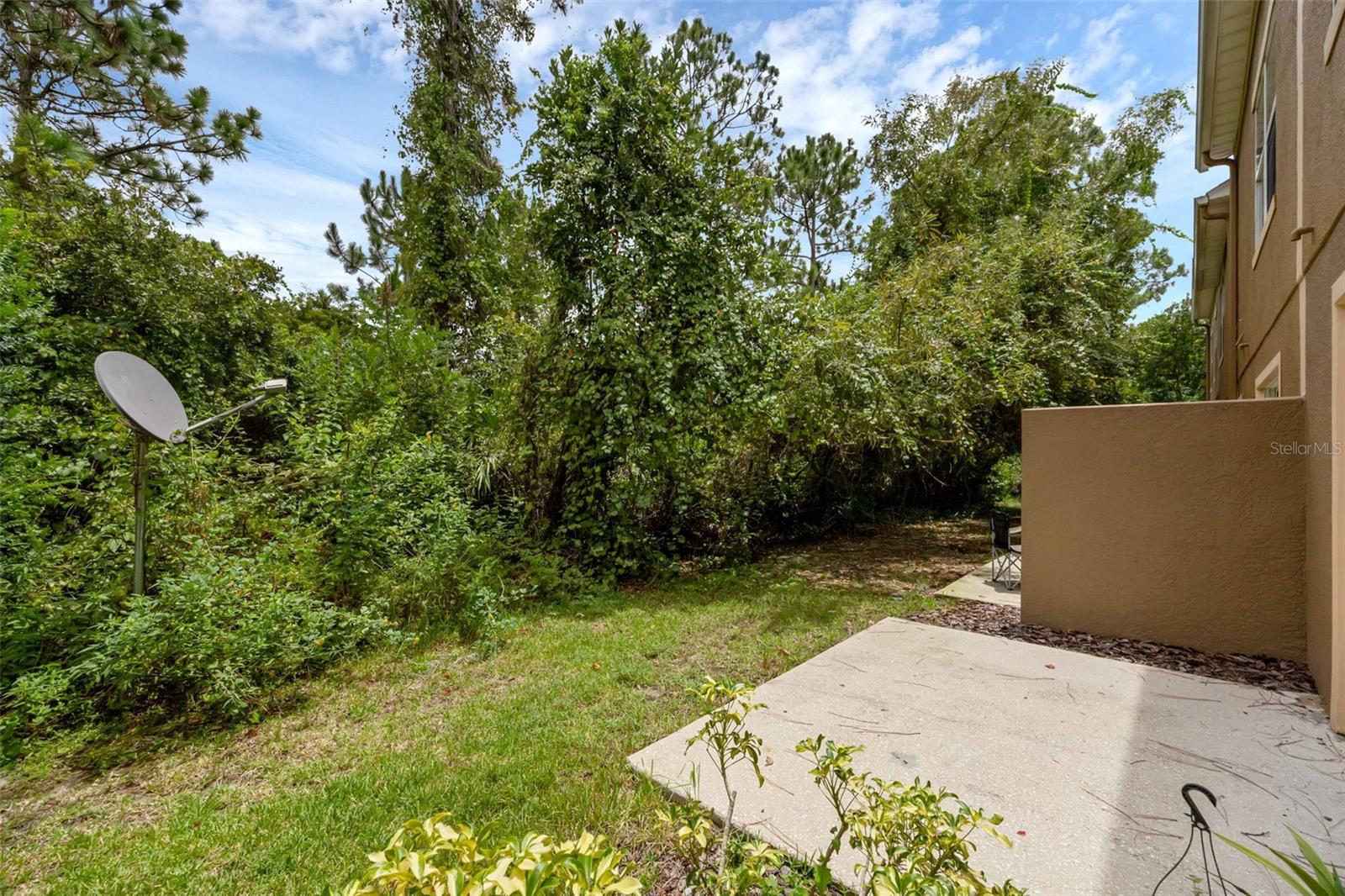 Image 14 of 39 For 4587 Lacebark Trail