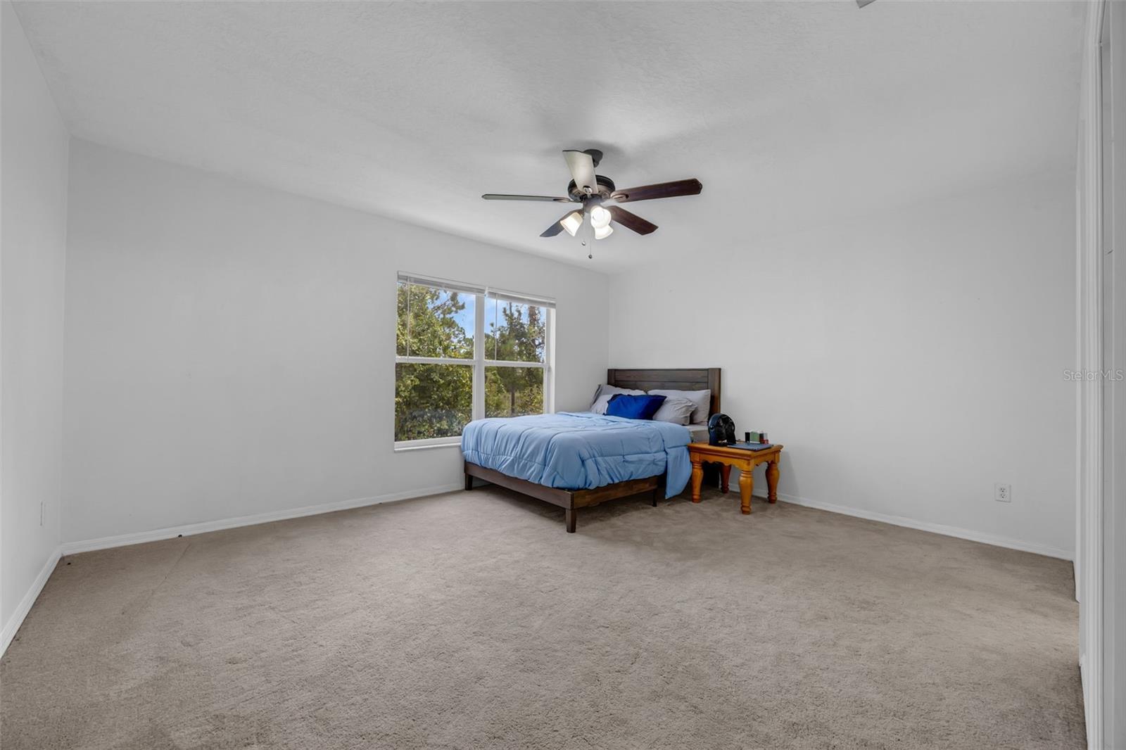 Image 18 of 39 For 4587 Lacebark Trail