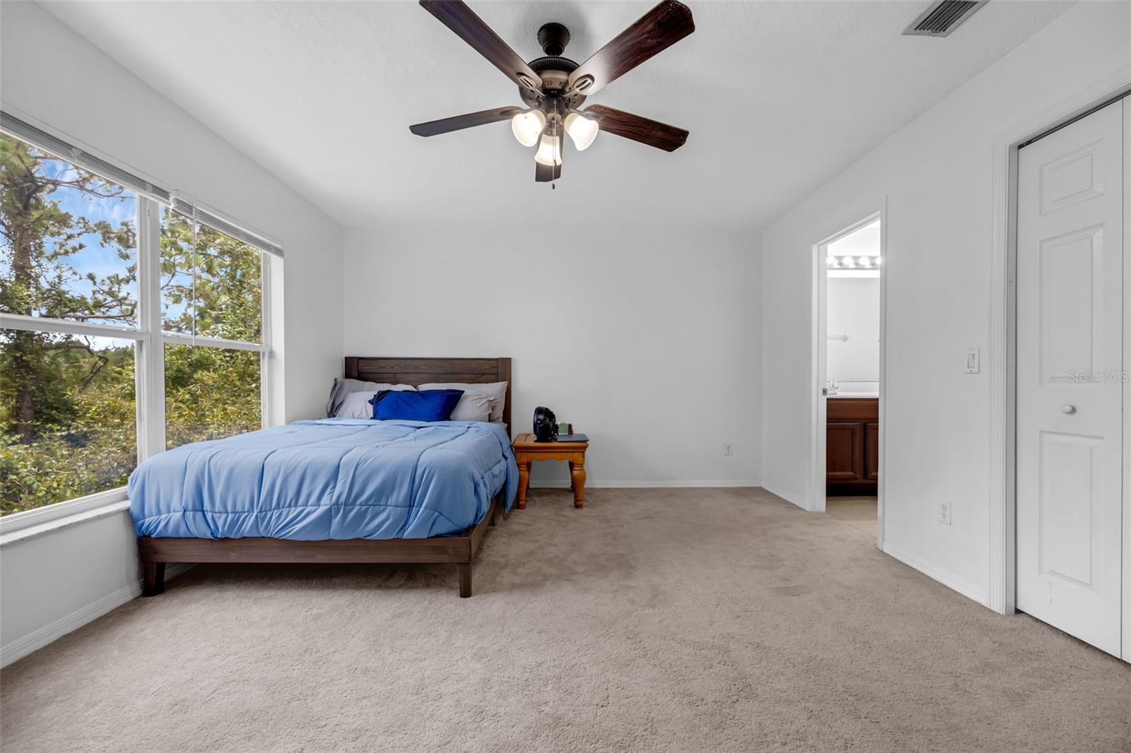 Image 19 of 39 For 4587 Lacebark Trail