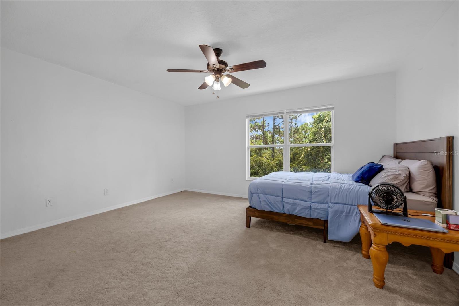 Image 20 of 39 For 4587 Lacebark Trail