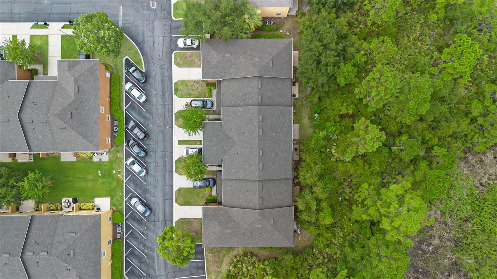 Image 34 of 39 For 4587 Lacebark Trail