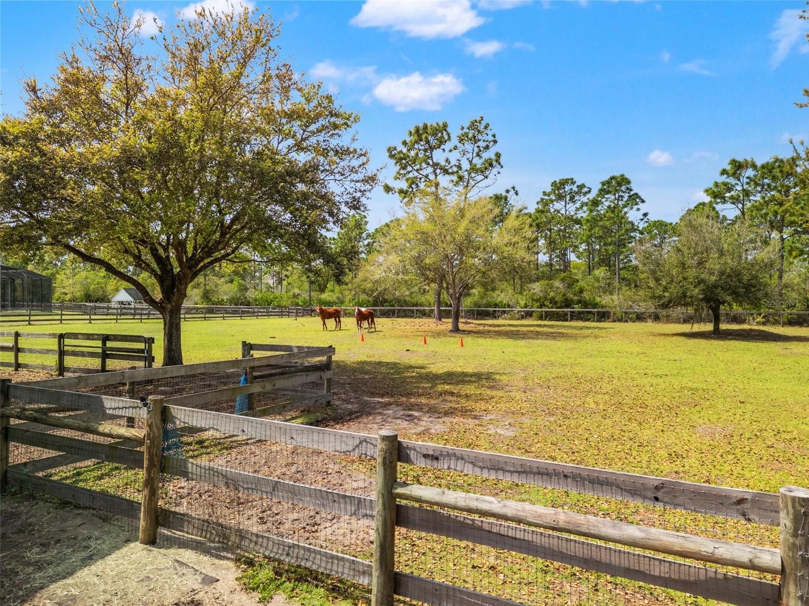 Image 6 of 56 For 20813 Peabody Street