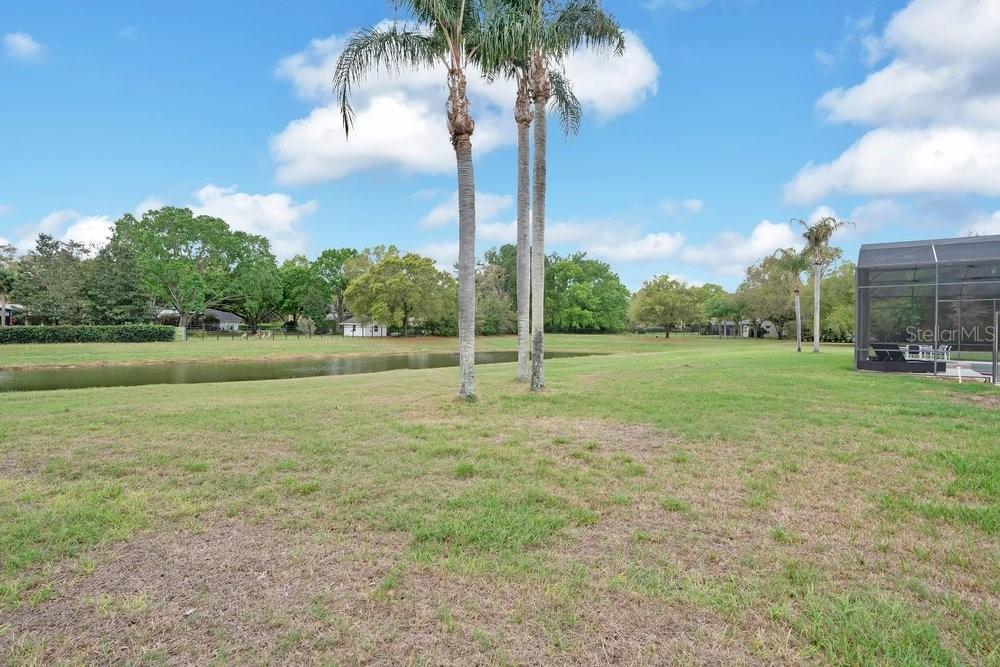 Image 43 of 59 For 1826 Windermeredown Place