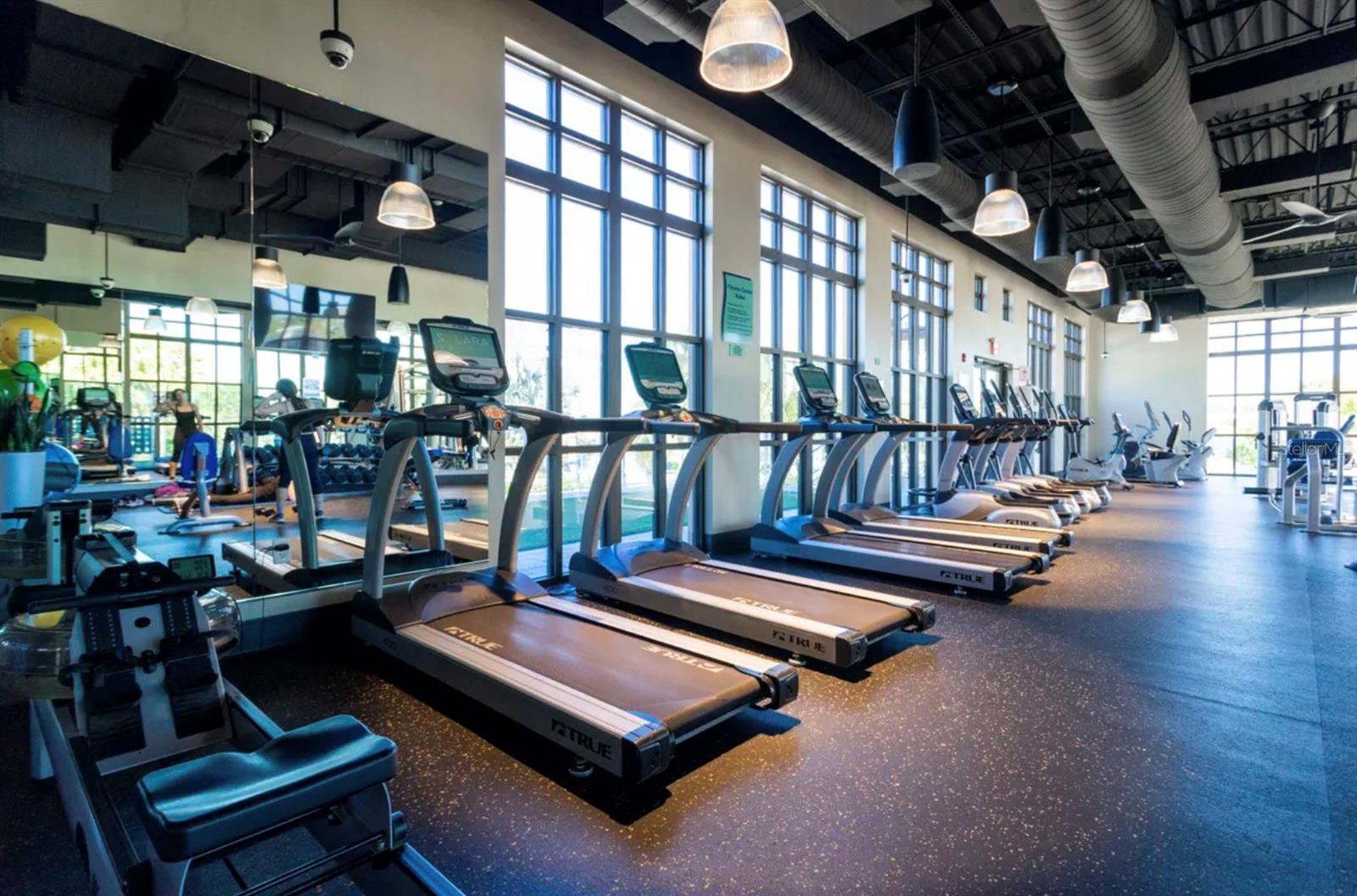 Listing photo id 44 for 1555 Carey Palm Circle