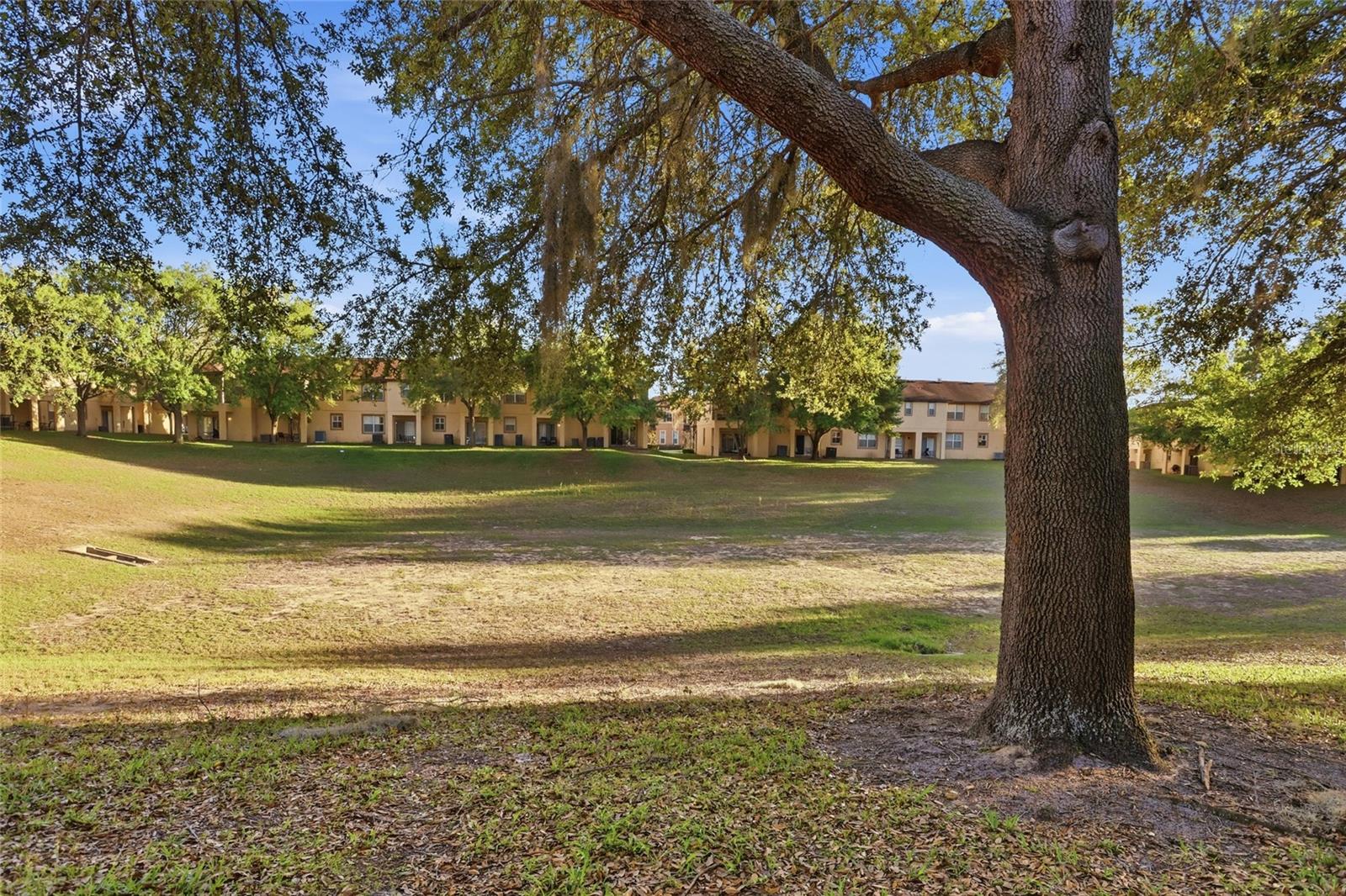 Image 25 of 51 For 2959 Calabria Avenue