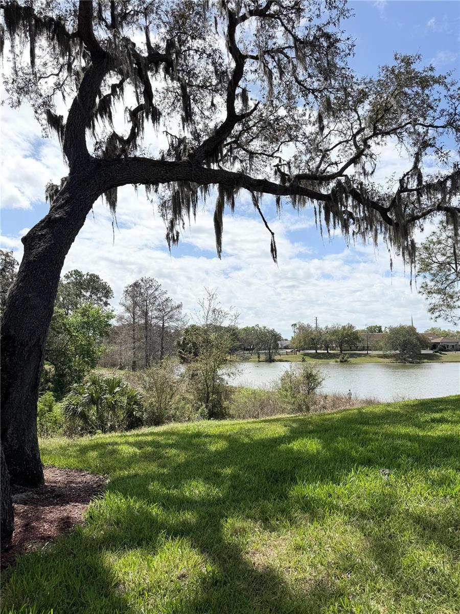 Image 12 of 18 For 709 Secret Harbor Lane 211