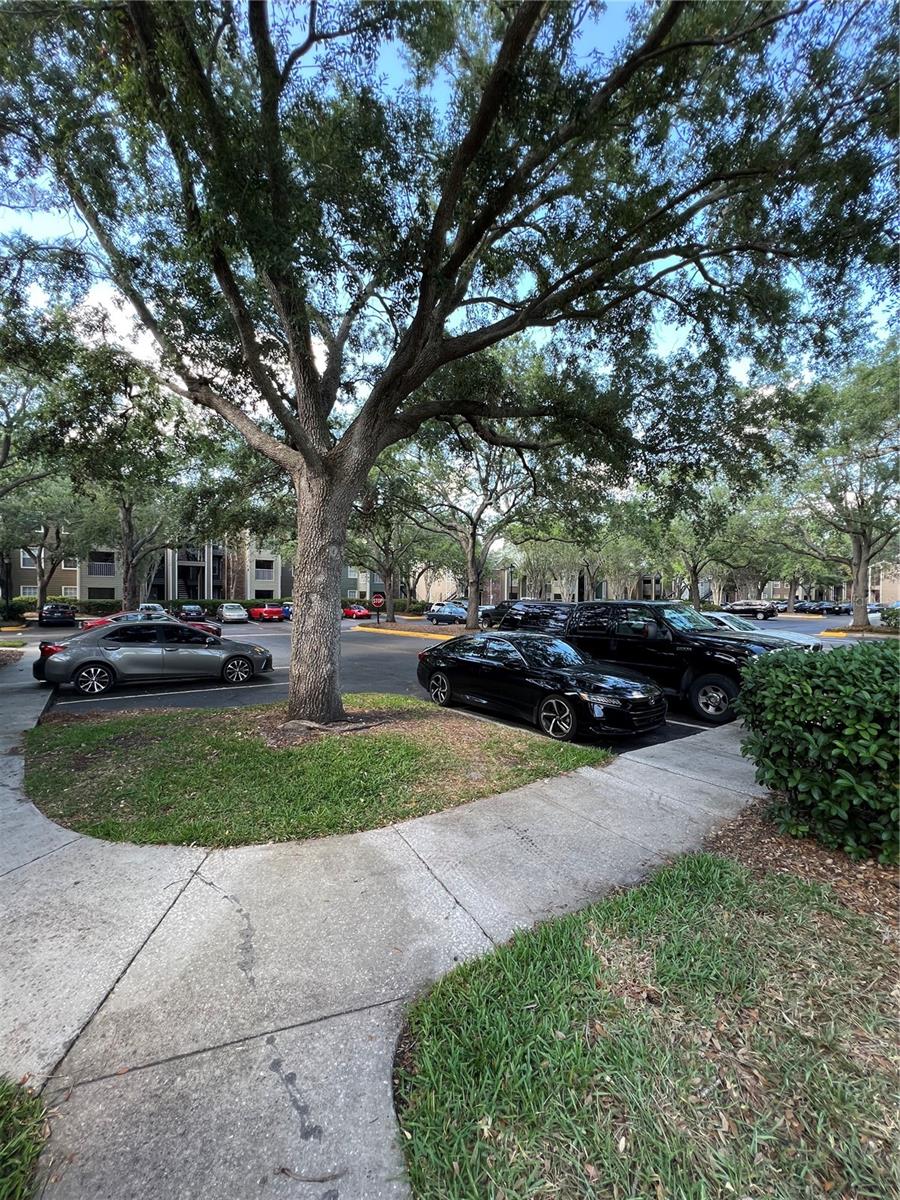 Image 6 of 24 For 2214 Metropolitan Way 1015