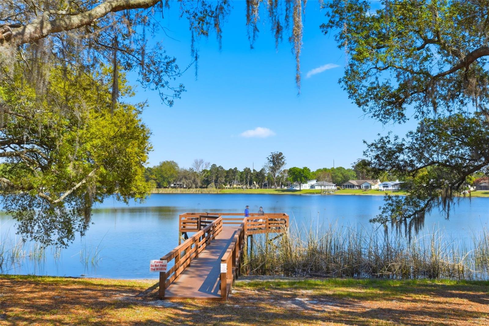 Image 35 of 35 For 8636 Alegre Cir