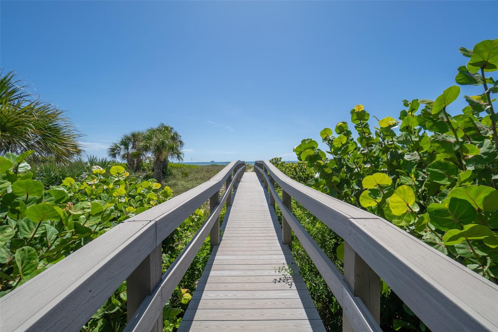 Image 34 of 44 For 3740 Ocean Beach Boulevard 704