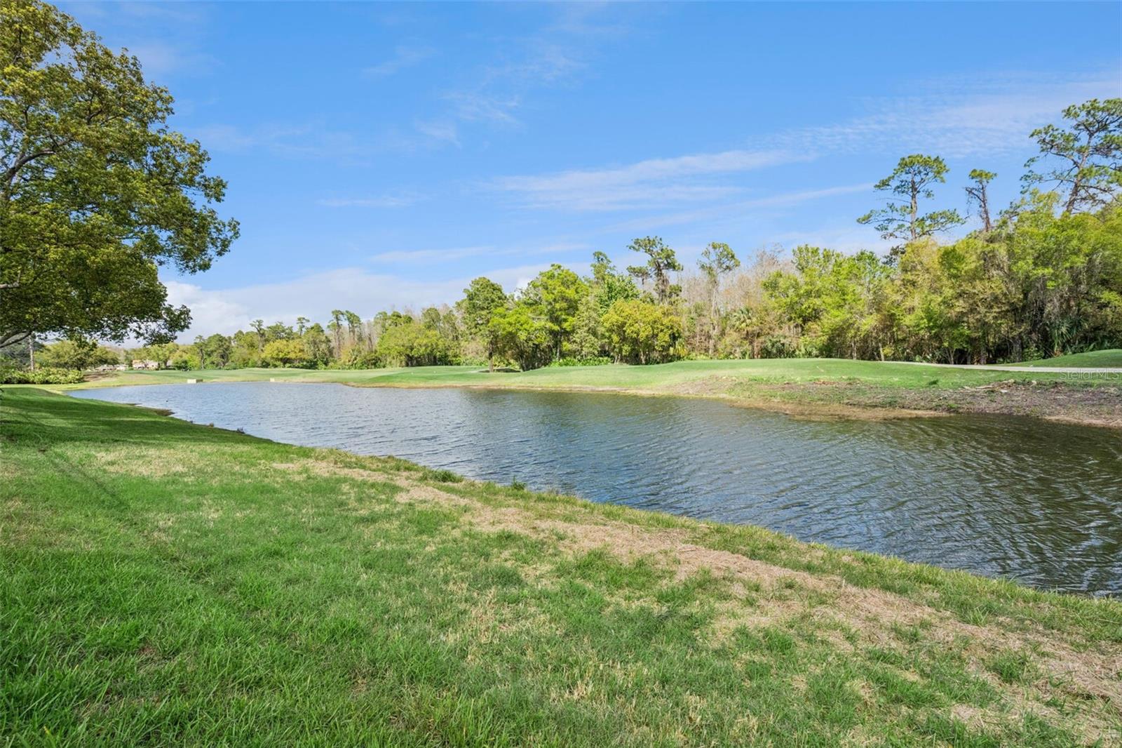 Image 57 of 82 For 2541 Teton Stone Run
