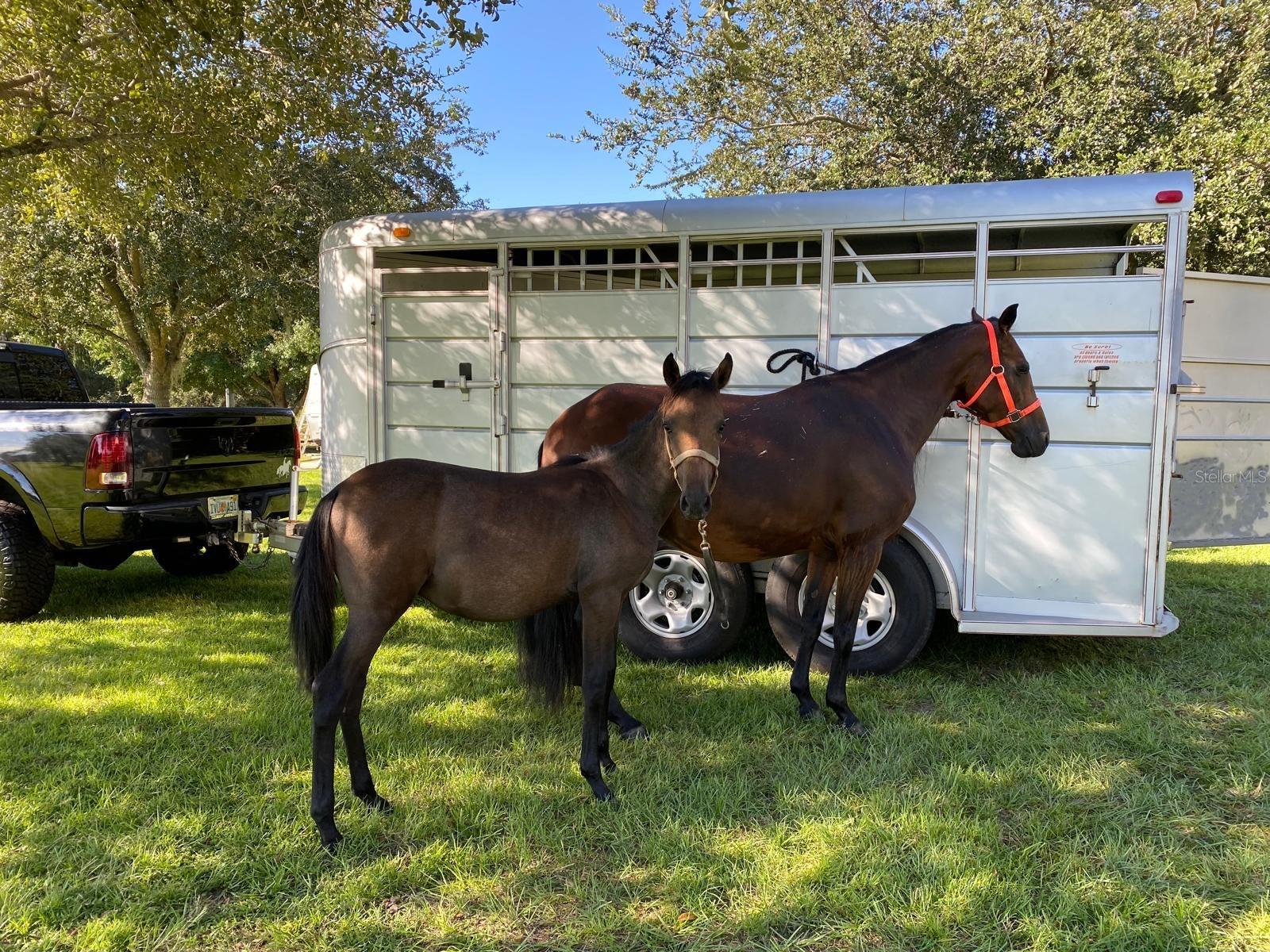 Image 85 of 100 For 1184 Laura Street