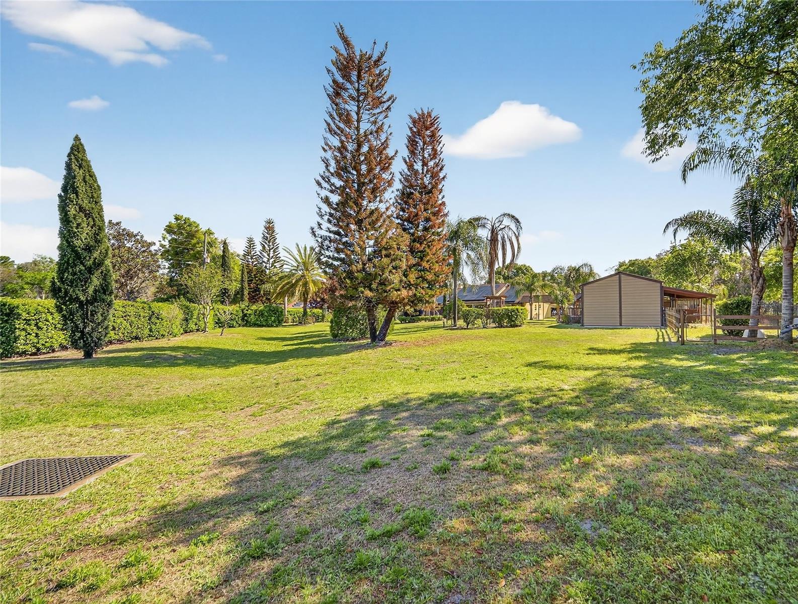 Image 88 of 100 For 1184 Laura Street